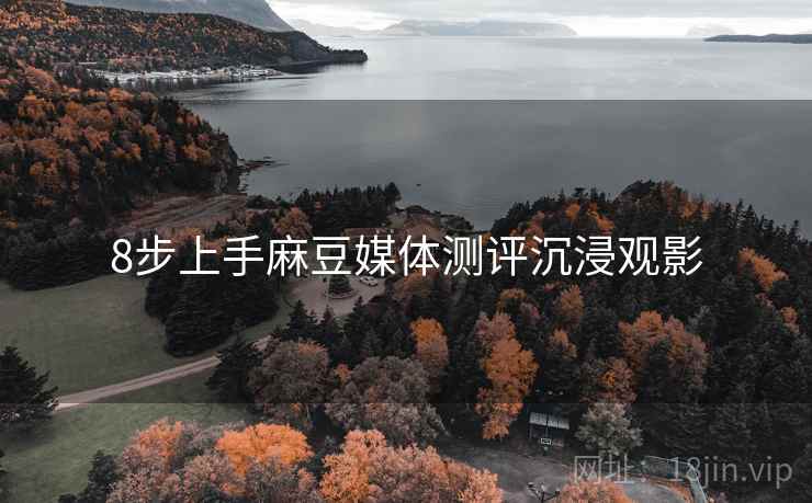8步上手麻豆媒体测评沉浸观影  第2张