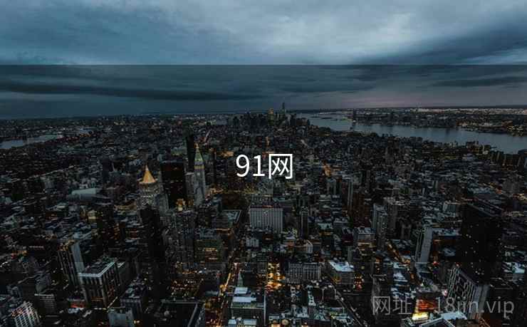 91网 第1张