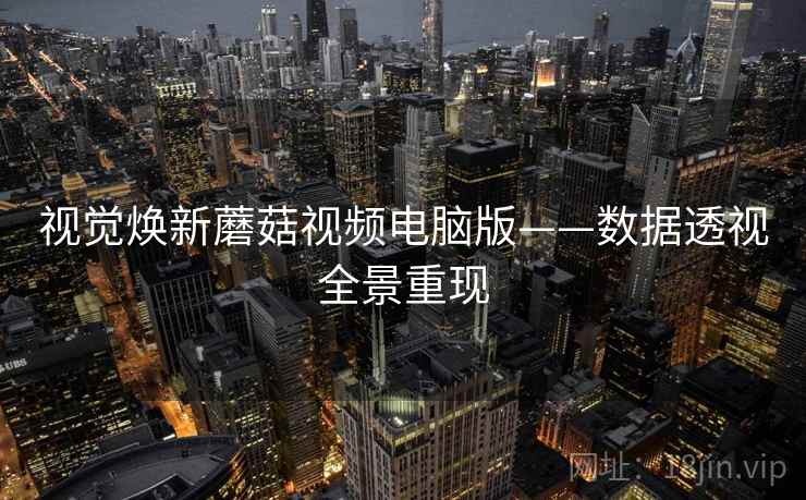 视觉焕新蘑菇视频电脑版——数据透视全景重现