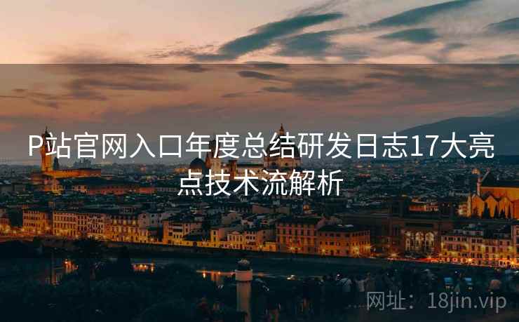 P站官网入口年度总结研发日志17大亮点技术流解析