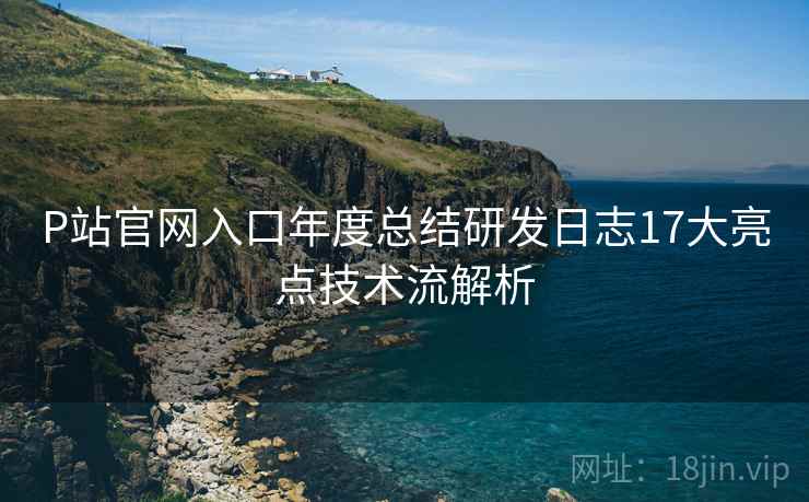P站官网入口年度总结研发日志17大亮点技术流解析
