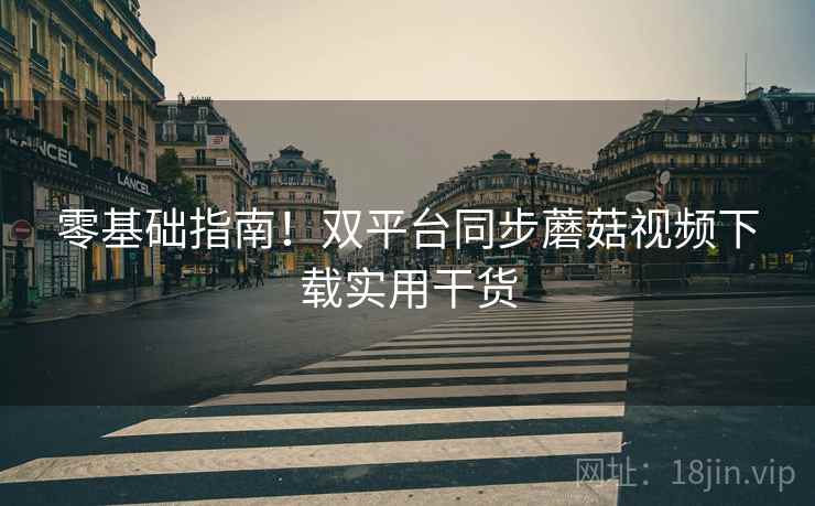 零基础指南！双平台同步蘑菇视频下载实用干货