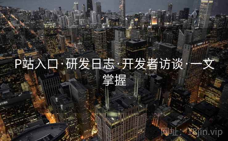 P站入口·研发日志·开发者访谈·一文掌握  第1张