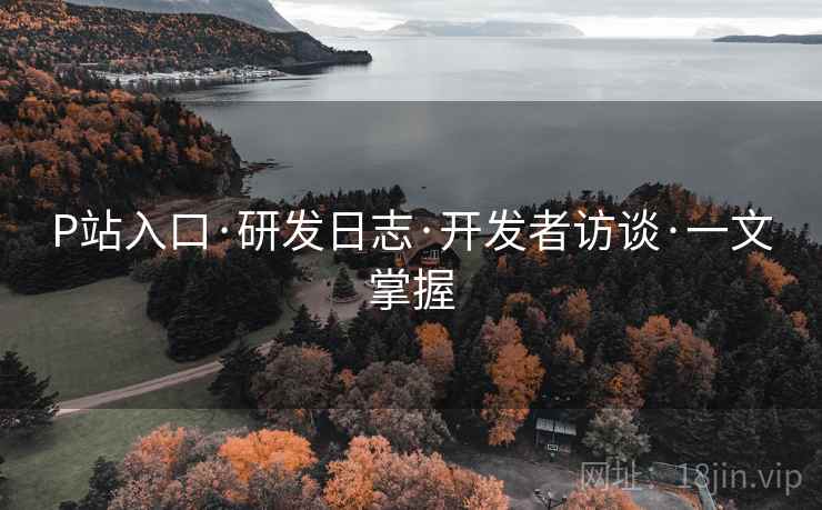 P站入口·研发日志·开发者访谈·一文掌握  第2张