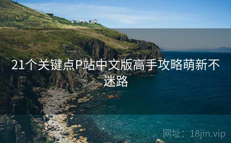 21个关键点P站中文版高手攻略萌新不迷路  第1张