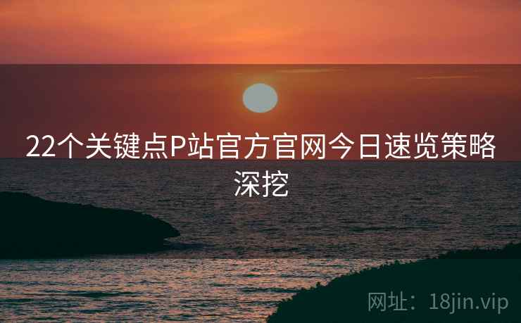 22个关键点P站官方官网今日速览策略深挖